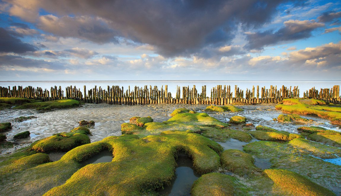 Groningen wadden sea coast at low tide Groningen wadden sea coast at low tide