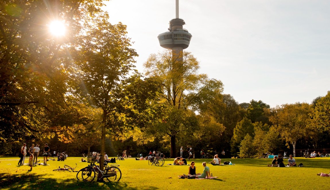 Picknicken with sunset view of Euromast in park Rotterdam Picknicken with sunset view of Euromast in park Rotterdam