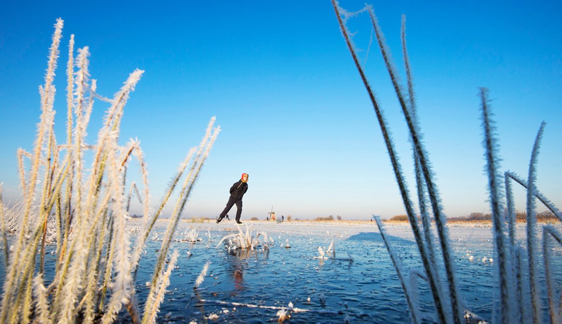 Frozen reed with a skater on the ice and mill Friesland. Frozen reed with a skater on the ice and mill Friesland.