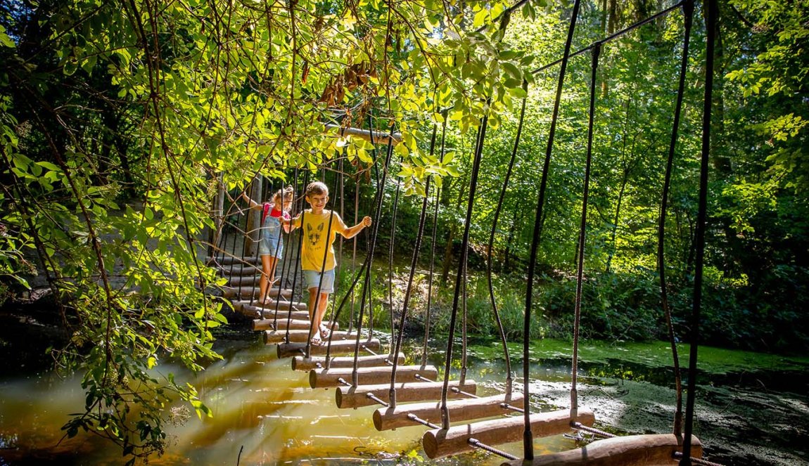 Children in the Experience Forest Lelystad Children in the Experience Forest Lelystad