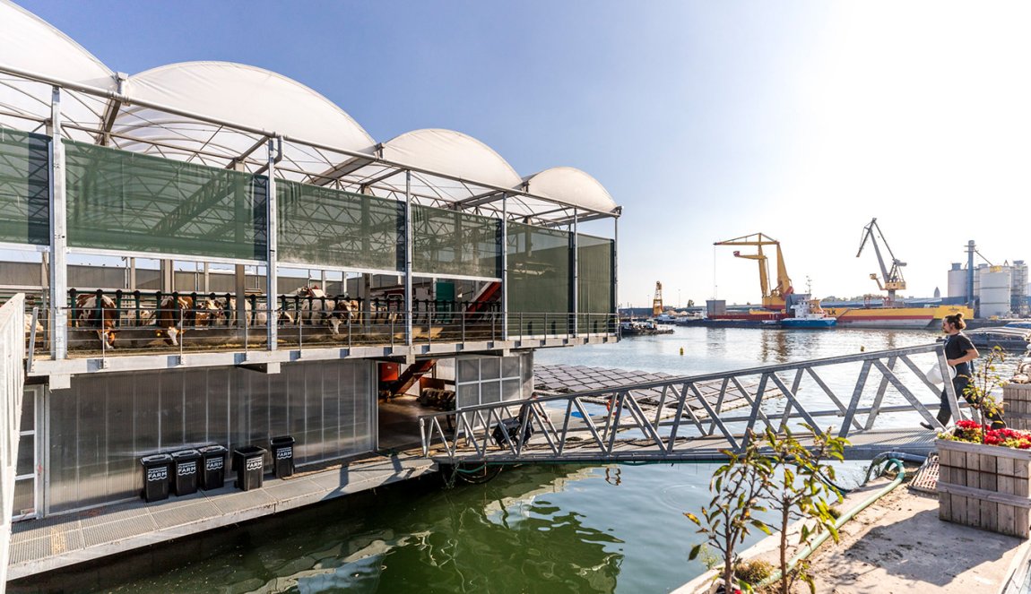 Floating Farm Rotterdam with bridge Floating Farm Rotterdam with bridge