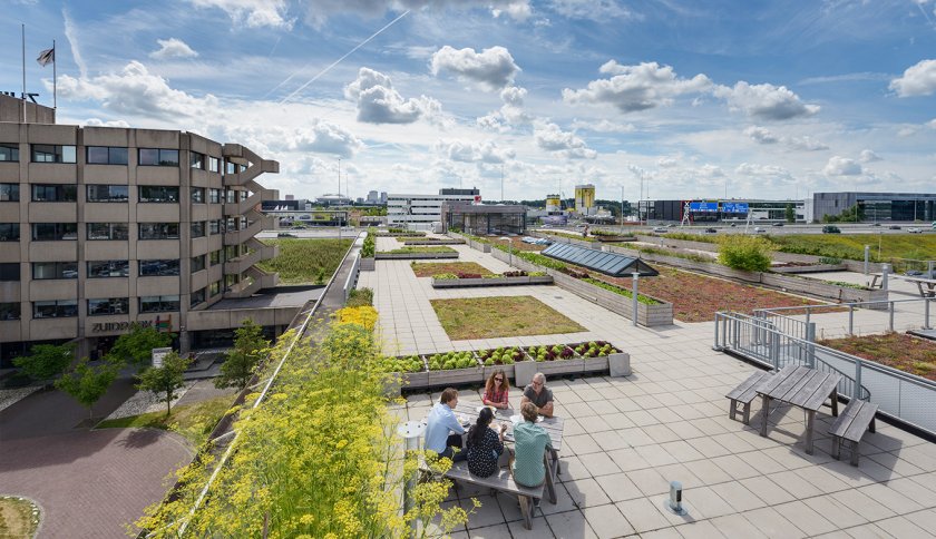 Urban farming Amsterdam Urban farming Amsterdam