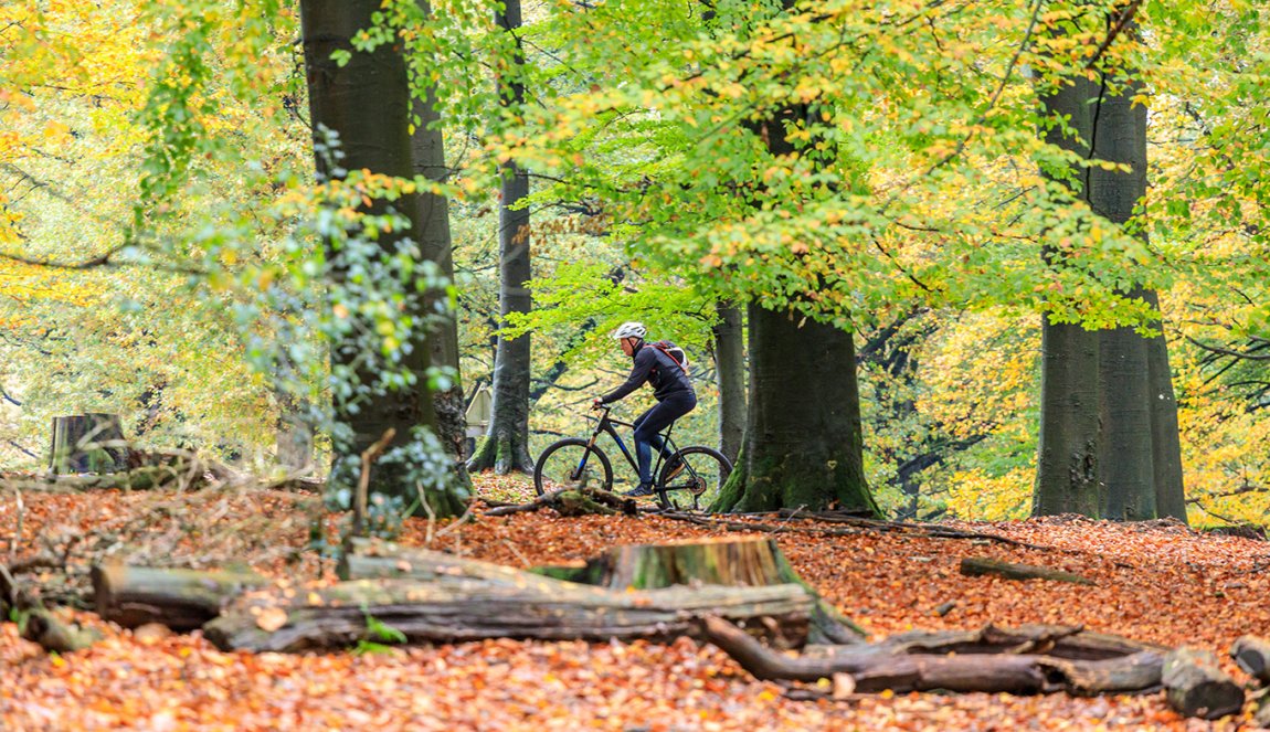 Cyclist on the Posbank in Rheden, Gelderland Cyclist on the Posbank in Rheden, Gelderland