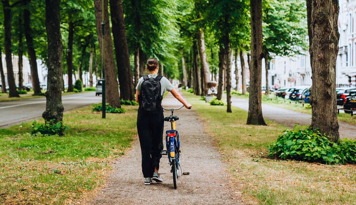 Utrecht Maliebaan walking with bicycle between the trees Utrecht Maliebaan walking with bicycle between the trees