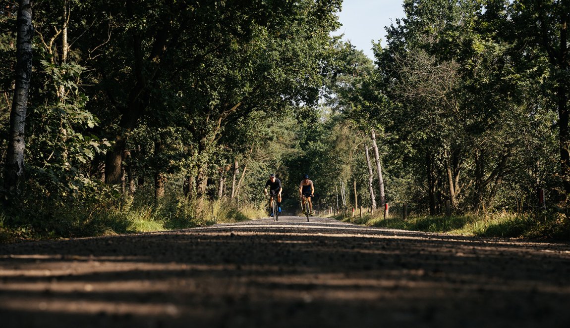 Cyclists through the forest Eindhoven Cyclists through the forest Eindhoven