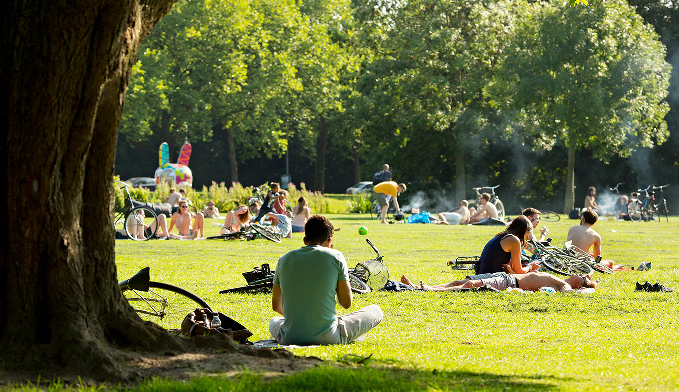 Rotterdam Vroesenpark people picnicking Rotterdam Vroesenpark people picnicking