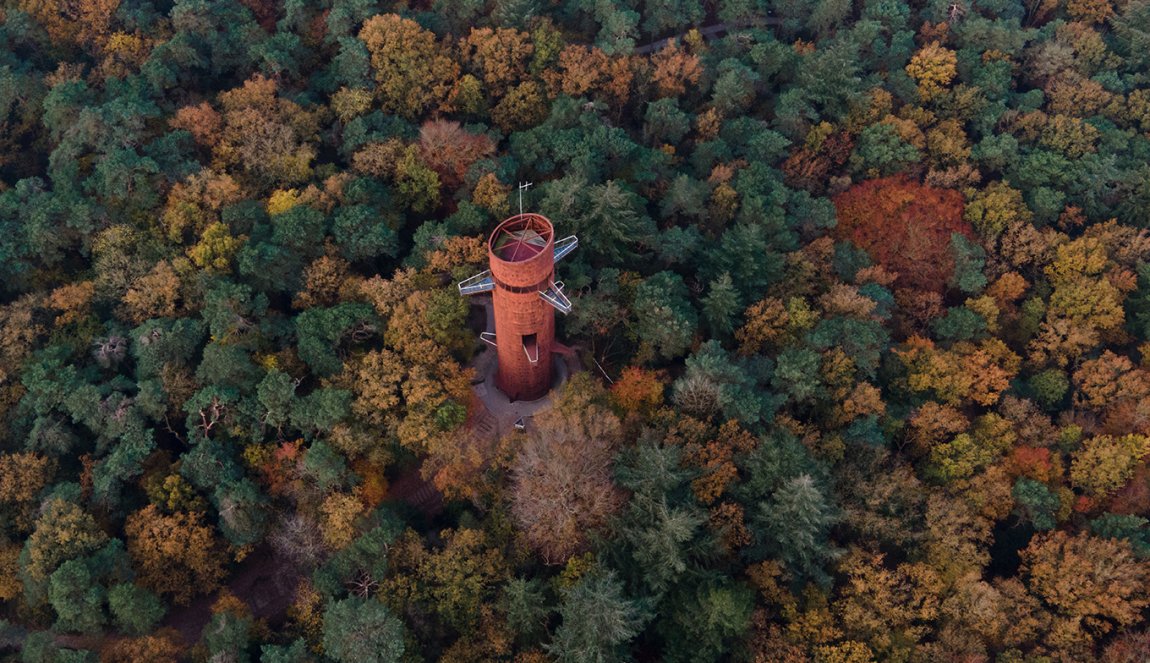 Bosbergtoren Appelscha in fall in Friesland Bosbergtoren Appelscha in fall in Friesland