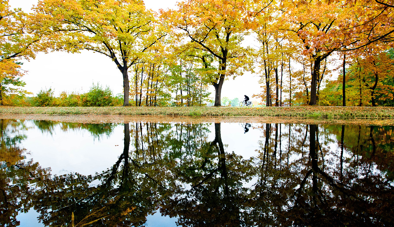 Cyclist through the forest in autumn colors with reflection in the water Cyclist through the forest in autumn colors with reflection in the water