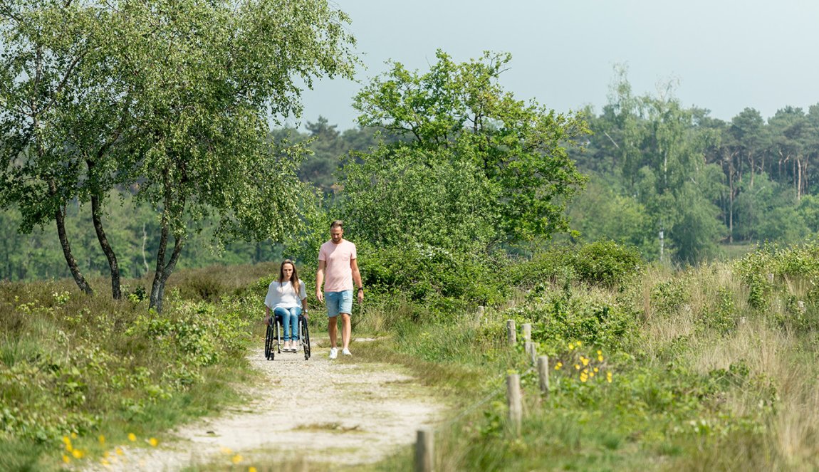 Couple enjoys Overasseltsche fen, Gelderland. Lady sits in wheelchair. Couple enjoys Overasseltsche fen, Gelderland. Lady sits in wheelchair.