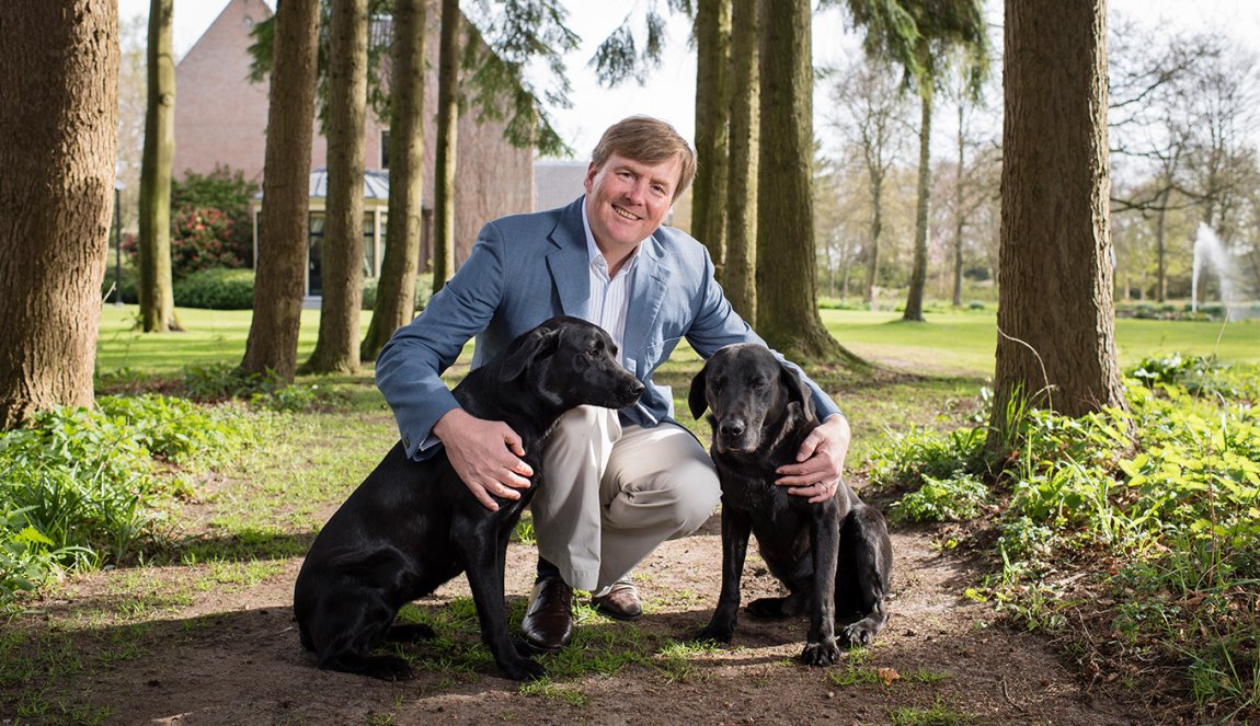 King Willem with his two dogs King Willem with his two dogs