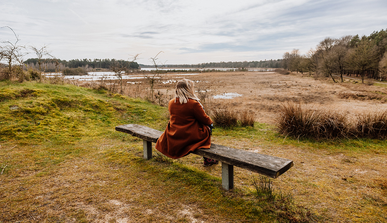 Van Gogh Drenthe sitting on bench peat bog Van Gogh Drenthe sitting on bench peat bog
