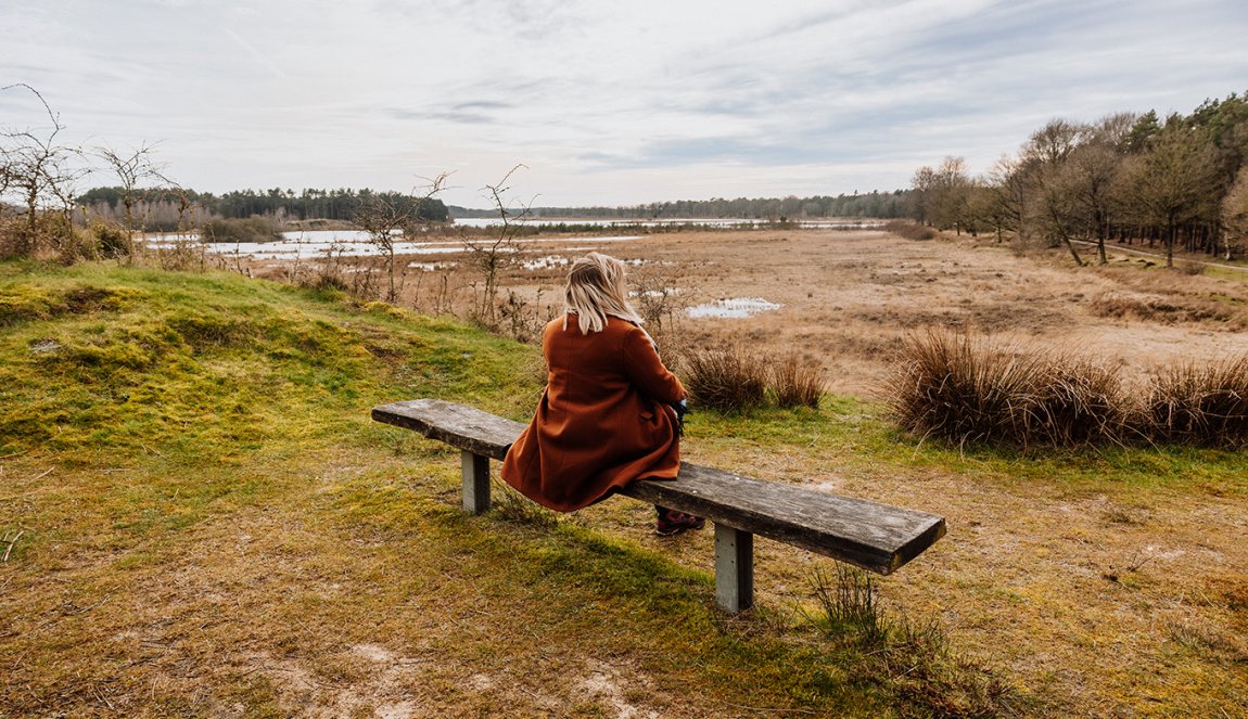 Van Gogh Drenthe sitting on bench peat bog Van Gogh Drenthe sitting on bench peat bog