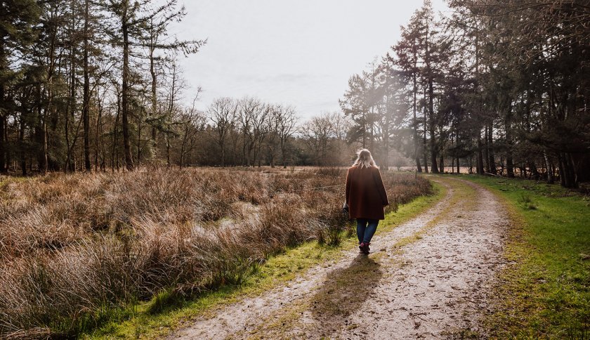 Van Gogh Drenthe walking on a forest path Van Gogh Drenthe walking on a forest path