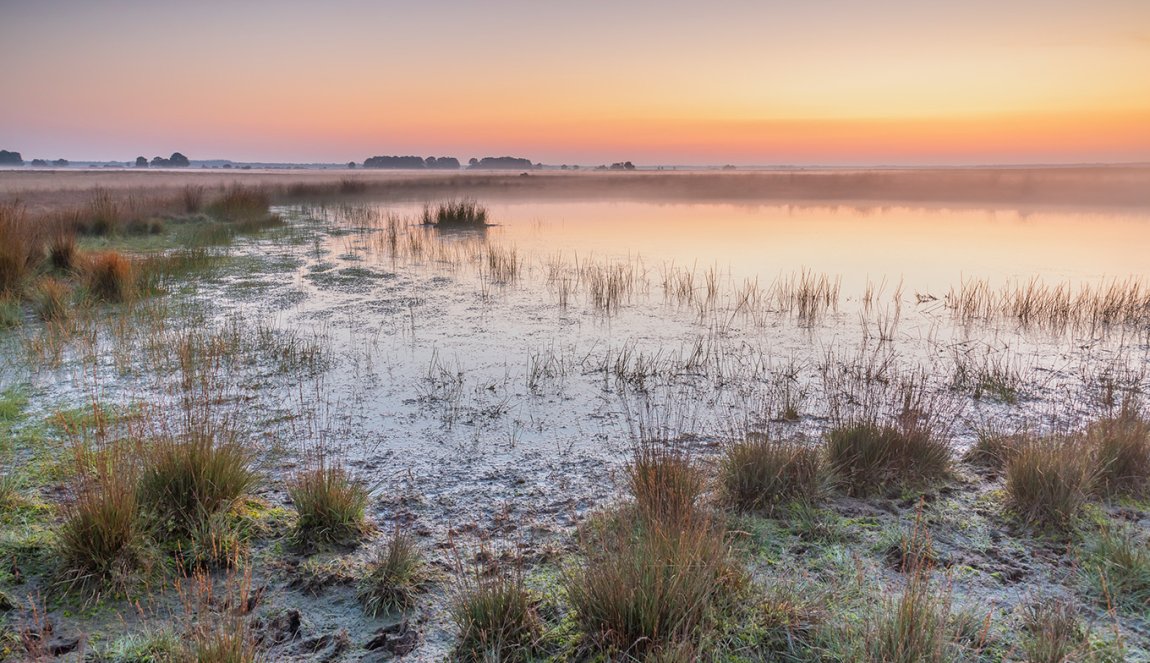 Vennen in National Park Dwingelderveld Vennen in National Park Dwingelderveld