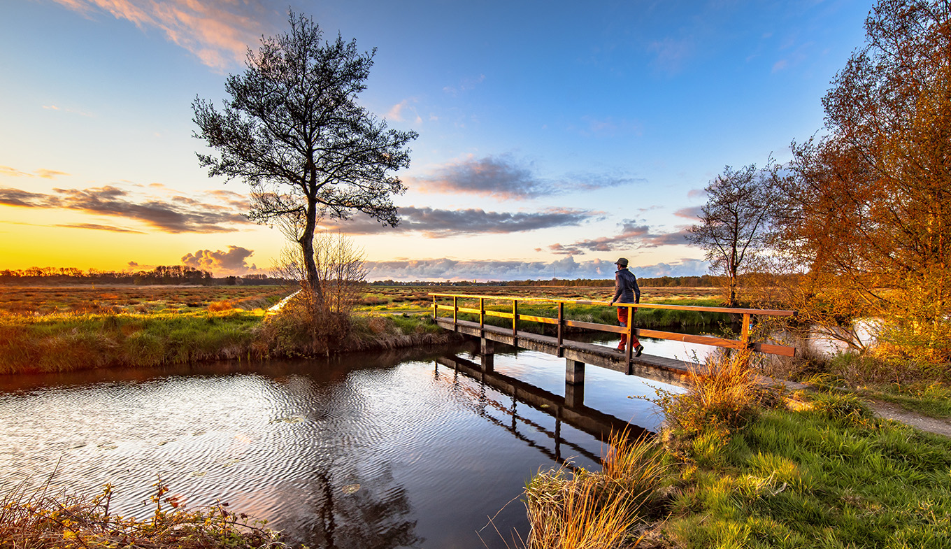 Walker crossing bridge over river in dutch countryside National Park landscape the Drentsche Aa Walker crossing bridge over river in dutch countryside National Park landscape the Drentsche Aa