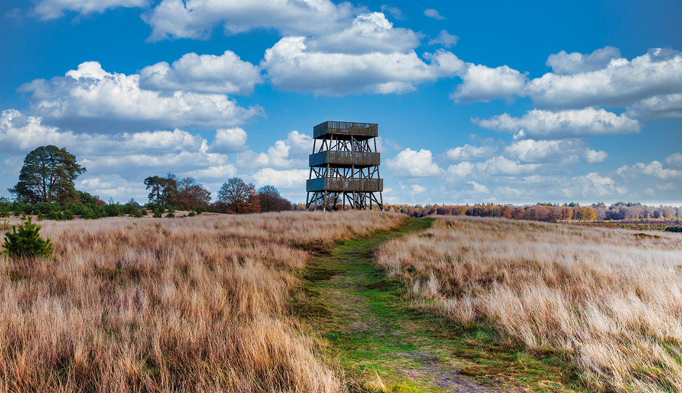 Publicly accessible lookout tower in Het Aekingerzand part of the Nationaal Park Drents-Friese Wold Publicly accessible lookout tower in Het Aekingerzand part of the Nationaal Park Drents-Friese Wold