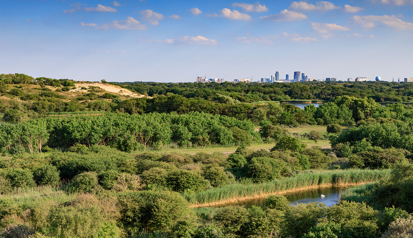 Dune area Meyendel - part of National Park Hollandse Duinen with view of The Hague skyline Dune area Meyendel - part of National Park Hollandse Duinen with view of The Hague skyline