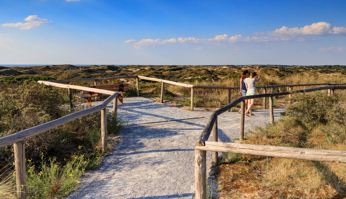Two girlfriends walk through the dunes of the Holland Dunes to the beach Two girlfriends walk through the dunes of the Holland Dunes to the beach