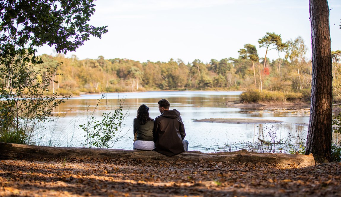 Couple sitting at the water in Oisterwijkse forest and ferns Couple sitting at the water in Oisterwijkse forest and ferns