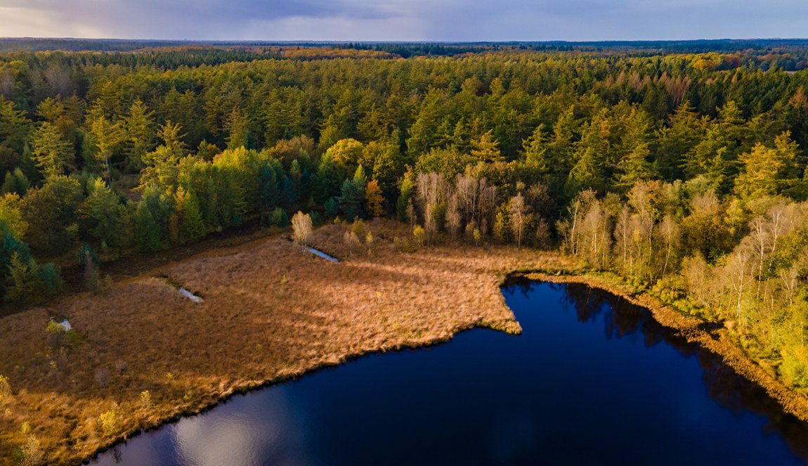 Colorful autumn trees at national park Drentsche Aa Colorful autumn trees at national park Drentsche Aa