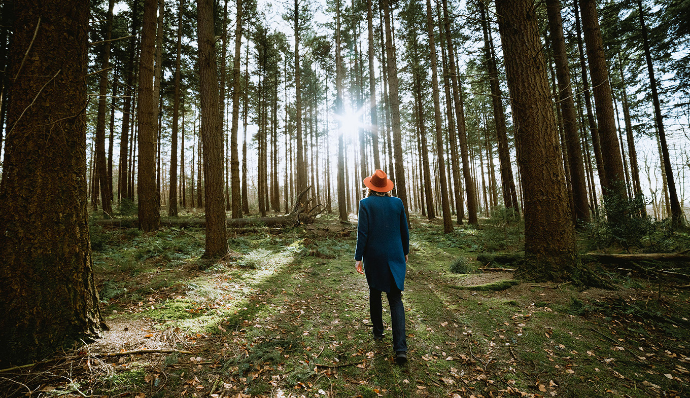 Woman walks through the Bergherbos forest in the Achterhoek region Woman walks through the Bergherbos forest in the Achterhoek region