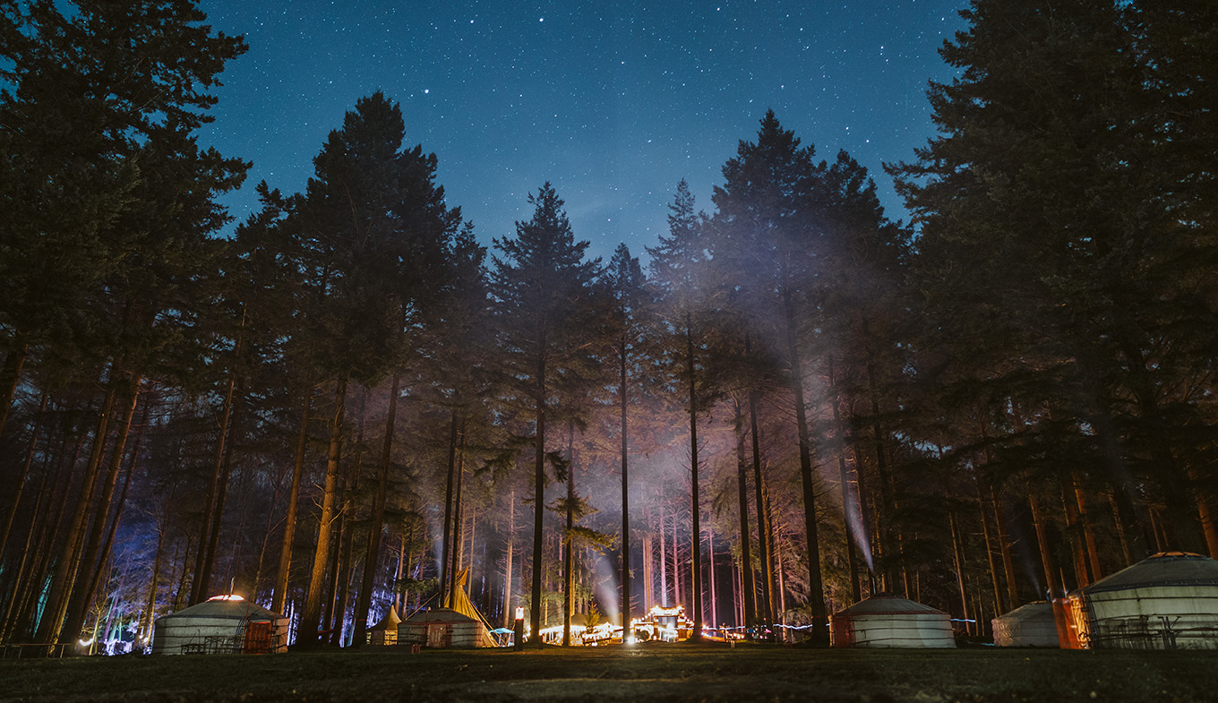 Outdoor winter escapade in Drenthe, camping location starry in the woods Outdoor winter escapade in Drenthe, camping location starry in the woods