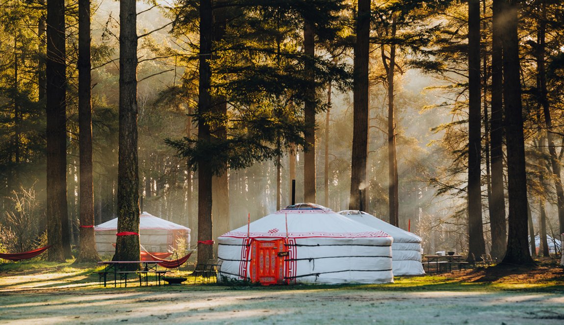 Yurt under the trees at Winterwoods Drenthe Yurt under the trees at Winterwoods Drenthe