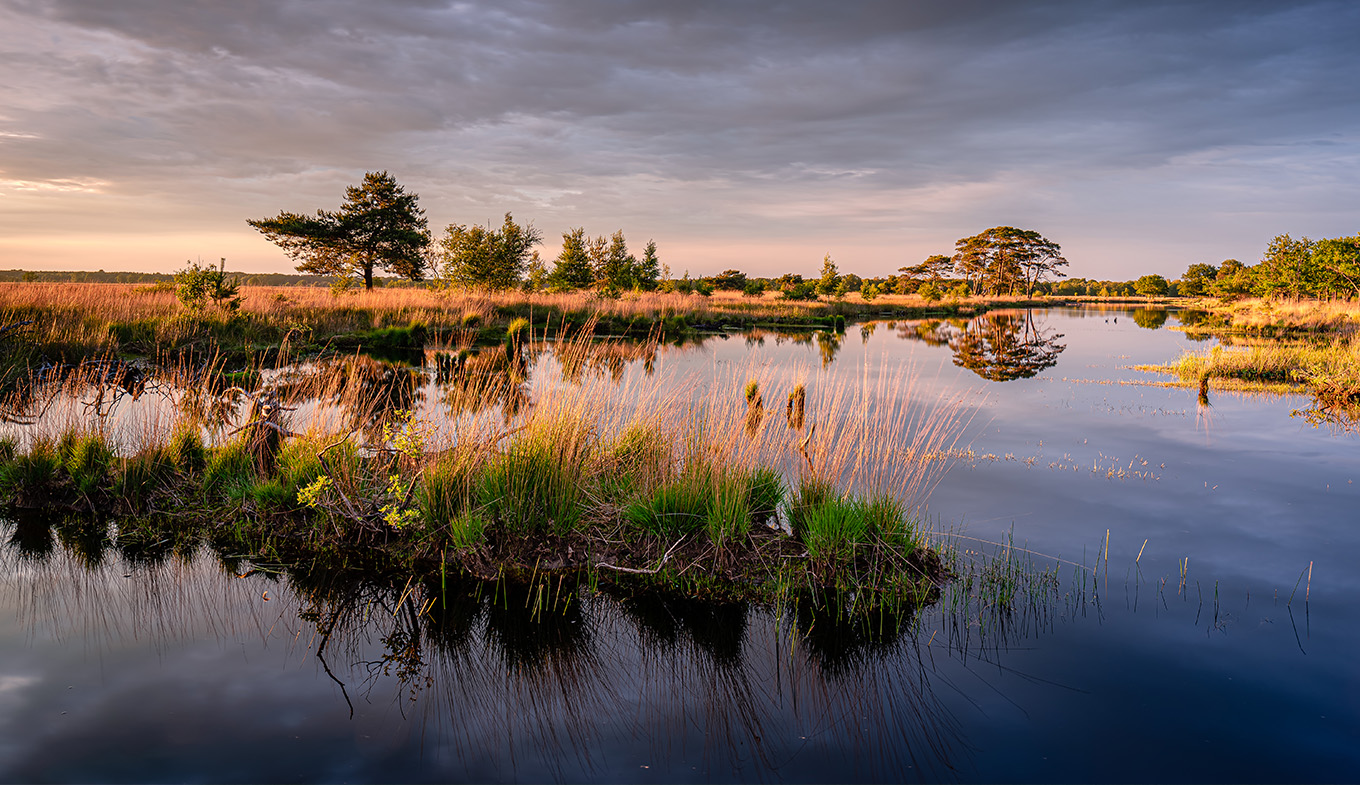 Trees and sunset frame a scenic lake and a sprawling moorland in the Dwingelderveld National Park Trees and sunset frame a scenic lake and a sprawling moorland in the Dwingelderveld National Park